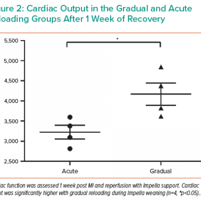 Cardiac Output in the Gradual and Acute Reloading Groups After 1 Week of Recovery