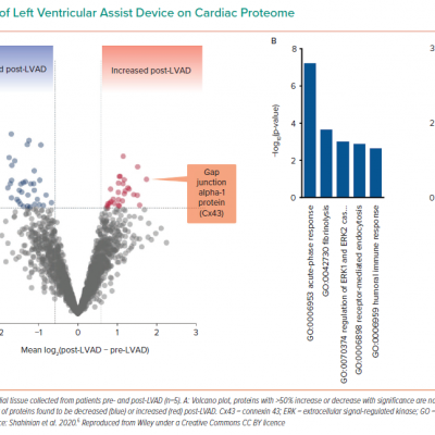 Impact of Left Ventricular Assist Device on Cardiac Proteome