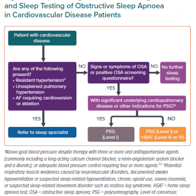 Proposed Algorithm on Screening and Sleep Testing of Obstructive Sleep Apnoea in Cardiovascular Disease Patients