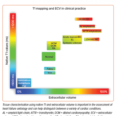T1 Mapping and Extracellular Volume in Clinical Practice
