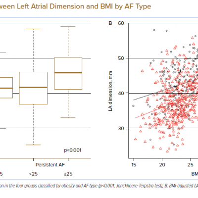 Association between Left Atrial Dimension and BMI by AF Type