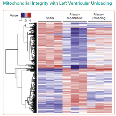 Microarray Analysis and Preservation of Mitochondrial Integrity with Left Ventricular Unloading