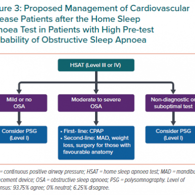 Proposed Management of Cardiovascular Disease Patients after the Home Sleep Apnoea Test in Patients with High Pre-test Probability of Obstructive Sleep Apnoea