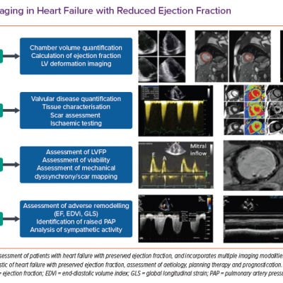 The Role of Imaging in Heart Failure with Reduced Ejection Fraction