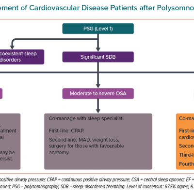 Proposed Management of Cardiovascular Disease Patients after Polysomnography