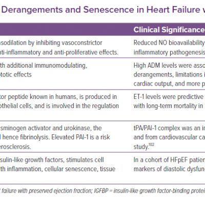 Biomarkers of Vascular Derangements and Senescence in Heart Failure with Preserved Ejection Fraction