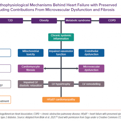 Proposed Pathophysiological Mechanisms Behind Heart Failure with Preserved Ejection Fraction Including Contributions From Microvascular Dysfunction and Fibrosis
