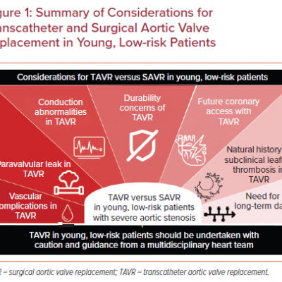 Summary of Considerations for Transcatheter and Surgical Aortic Valve Replacement in Young Low-risk Patients