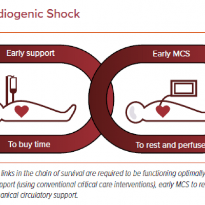 The Chain of Survival in Cardiogenic Shock