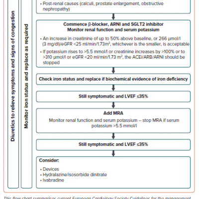 Management of Heart Failure in Patients with Chronic Kidney Disease Stage 1–3