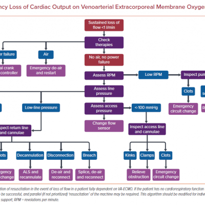 Emergency Loss of Cardiac Output on Venoarterial Extracorporeal Membrane Oxygenation