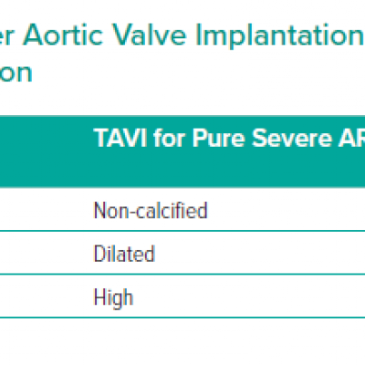 List of Challenges For Transcatheter Aortic Valve Implantation in Aortic Stenosis Versus Aortic Regurgitation