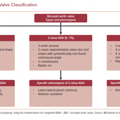 Bicuspid Aortic Valve Classification