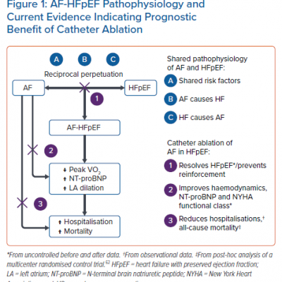 AF-HFpEF Pathophysiology and Current Evidence Indicating Prognostic Benefit of Catheter Ablation