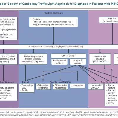 European Society of Cardiology Traffic Light Approach for Diagnosis in Patients with MINOCA