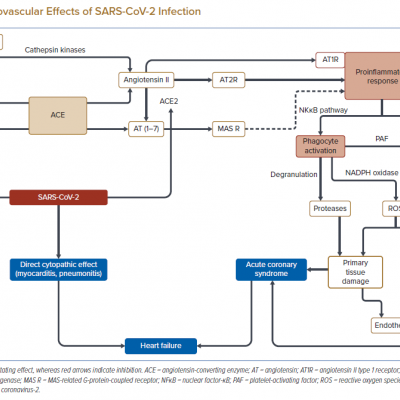 Cardiovascular Effects of SARS-CoV-2 Infection