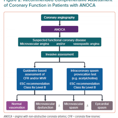 Recommended Comprehensive Assessment of Coronary Function in Patients with ANOCA