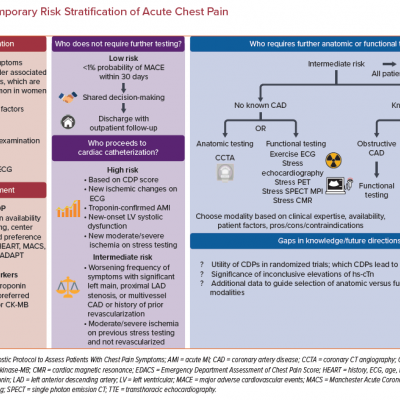 Contemporary Risk Stratification of Acute Chest Pain