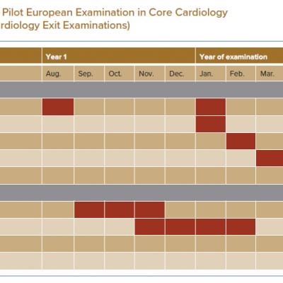 Gantt Chart of the Pilot European Examination in Core Cardiology Asian Pacific Society of Cardiology Exit Examinations