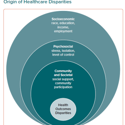 Outlining the Breadth and Impact of Social Determinants of Health on the Origin of Healthcare Disparities