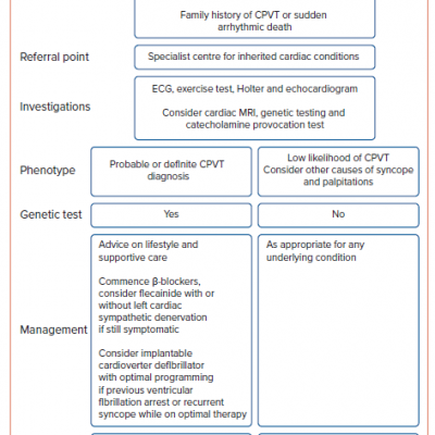 Suggested Care Pathway for Catecholaminergic Polymorphic Ventricular Tachycardia Index Cases