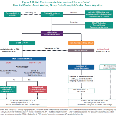 British Cardiovascular Interventional Society Out-of  Hospital Cardiac Arrest Working Group Out-of-Hospital Cardiac Arrest Algorithm