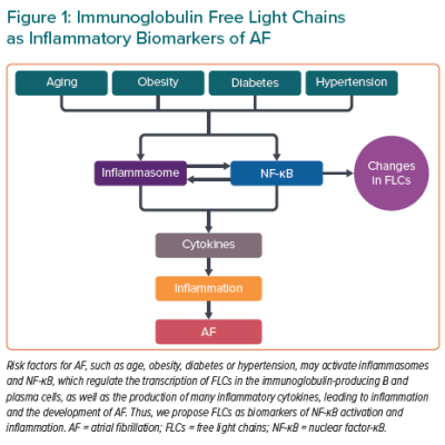 Immunoglobulin Free Light Chains as Inflammatory Biomarkers of AF