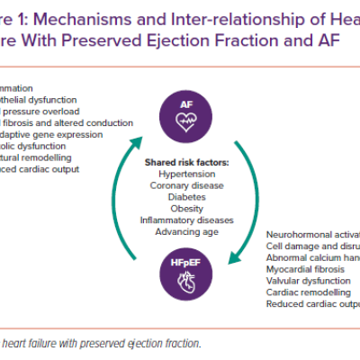 Mechanisms and Inter-relationship of Heart Failure With Preserved Ejection Fraction and AF