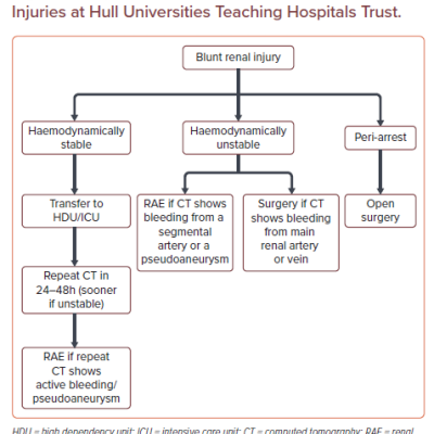 Proposed Treatment Algorithm for Blunt Renal Injuries at Hull Universities Teaching Hospitals Trust