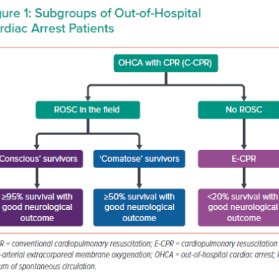 Subgroups of Out-of-Hospital Cardiac Arrest Patients