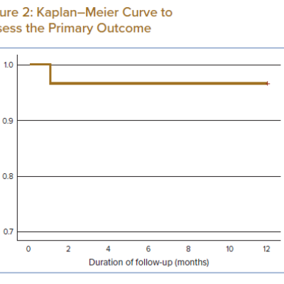Kaplan–Meier Curve to Assess the Primary Outcome