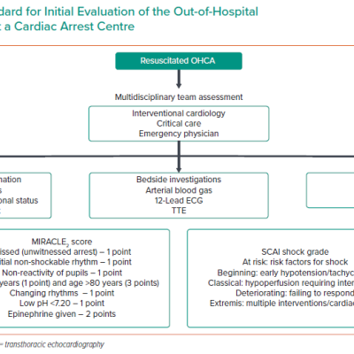 Minimum Standard for Initial Evaluation of the Out-of-Hospital Cardiac Arrest Patient at a Cardiac Arrest Centre