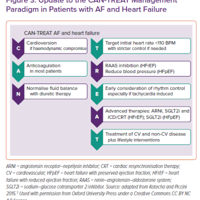 Update to the CAN-TREAT Management Paradigm in Patients with AF and Heart Failure