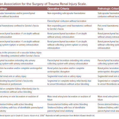 American Association for the Surgery of Trauma Renal Injury Scale