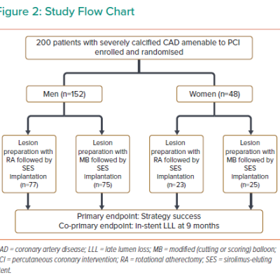 Study Flow Chart