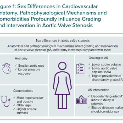Sex Differences in Cardiovascular Anatomy Pathophysiological Mechanisms and Comorbidities Profoundly Influence Grading and Intervention in Aortic Valve Stenosis