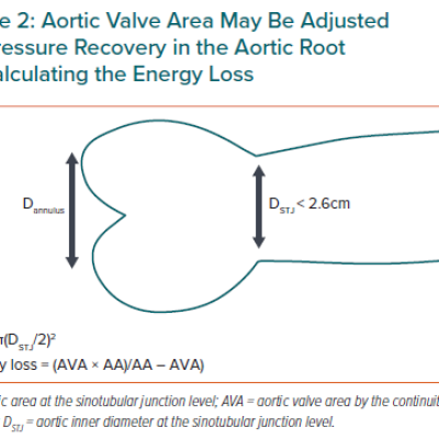 Aortic Valve Area May Be Adjusted for Pressure Recovery in the Aortic Root by Calculating the Energy Loss