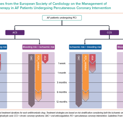Guidelines from the European Society of Cardiology on the Management of Antithrombotic Therapy in AF Patients Undergoing Percutaneous Coronary Intervention