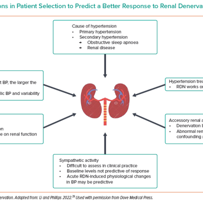 Considerations in Patient Selection to Predict a Better Response to Renal Denervation