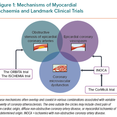 Mechanisms of Myocardial Ischaemia and Landmark Clinical Trials