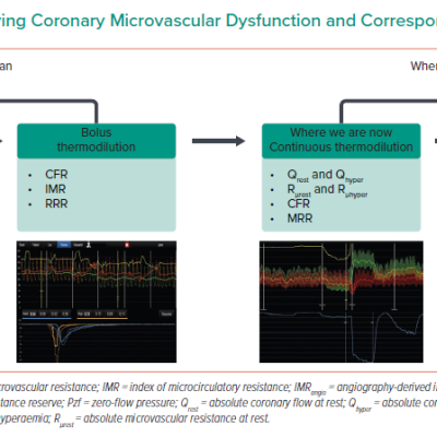 Methods of Quantifying Coronary Microvascular Dysfunction and Corresponding Indices