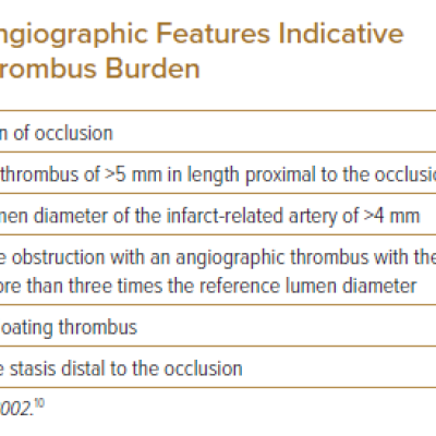 Angiographic Features Indicative of High Thrombus Burden