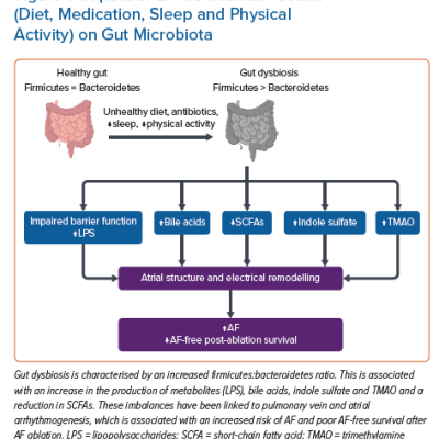 Impact of Environmental Factors Diet Medication Sleep and Physical Activity on Gut Microbiota