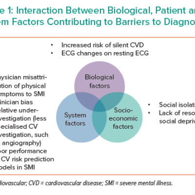 Interaction Between Biological Patient and System Factors Contributing to Barriers to Diagnosis