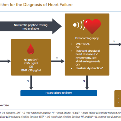Proposed Algorithm for the Diagnosis of Heart Failure