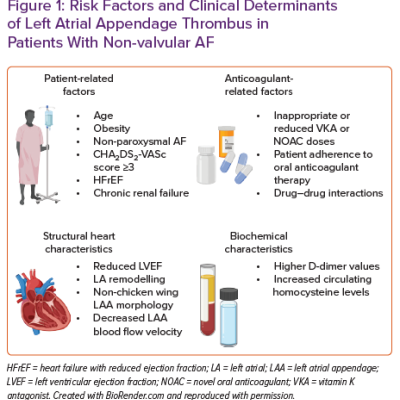 Risk Factors and Clinical Determinants of Left Atrial Appendage Thrombus in Patients With Non-valvular AF