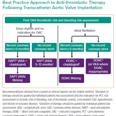 Key Recommendation Summary for the Best Practice Approach to Anti-thrombotic Therapy Following Transcatheter Aortic Valve Implantation