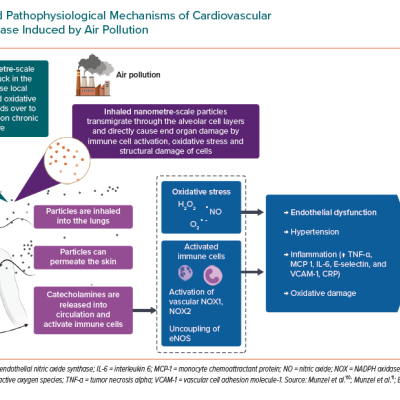 Proposed Pathophysiological Mechanisms of Cardiovascular and Neuronal Disease Induced by Air Pollution