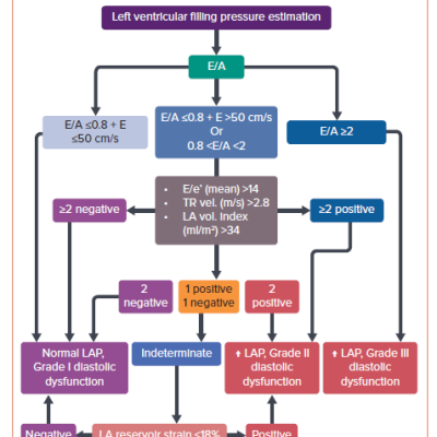 The Evaluation of LV Filling Pressures with Transthoracic Echocardiography