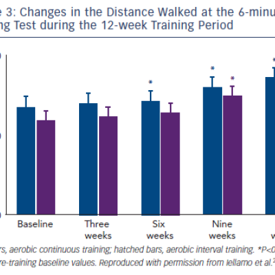 Changes in the Distance Walked at the 6-minute Walking Test during the 12-week Training Period